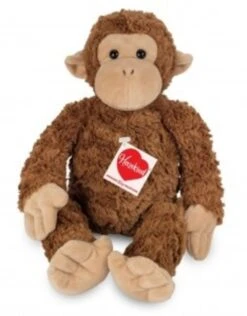 Hermann Teddy Aap Bruin