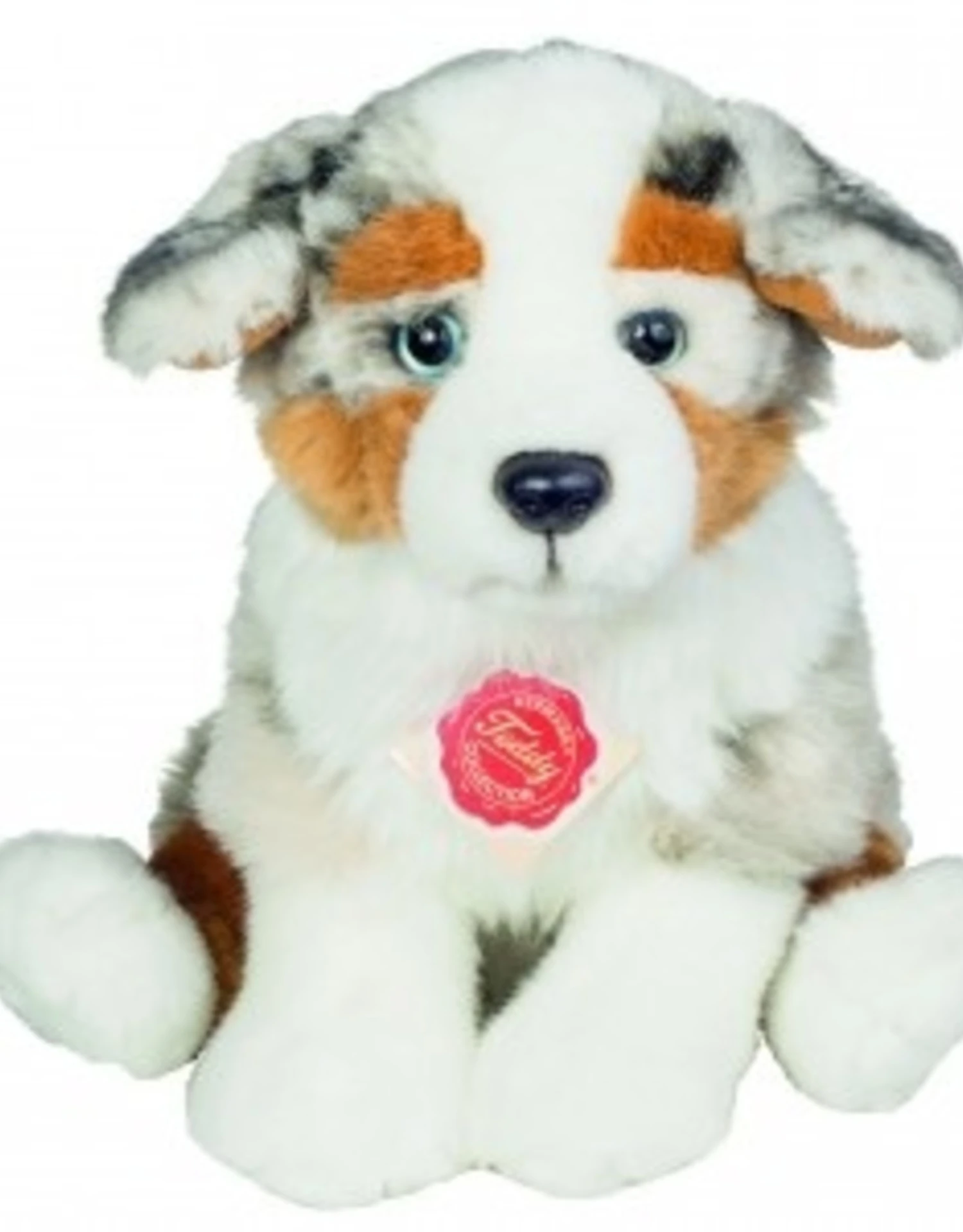 Hermann Teddy Australian Shepherd Puppy