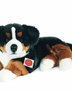 Hermann Teddy Benner Sennen Liggend