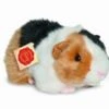 Hermann Teddy Cavia Tricolor