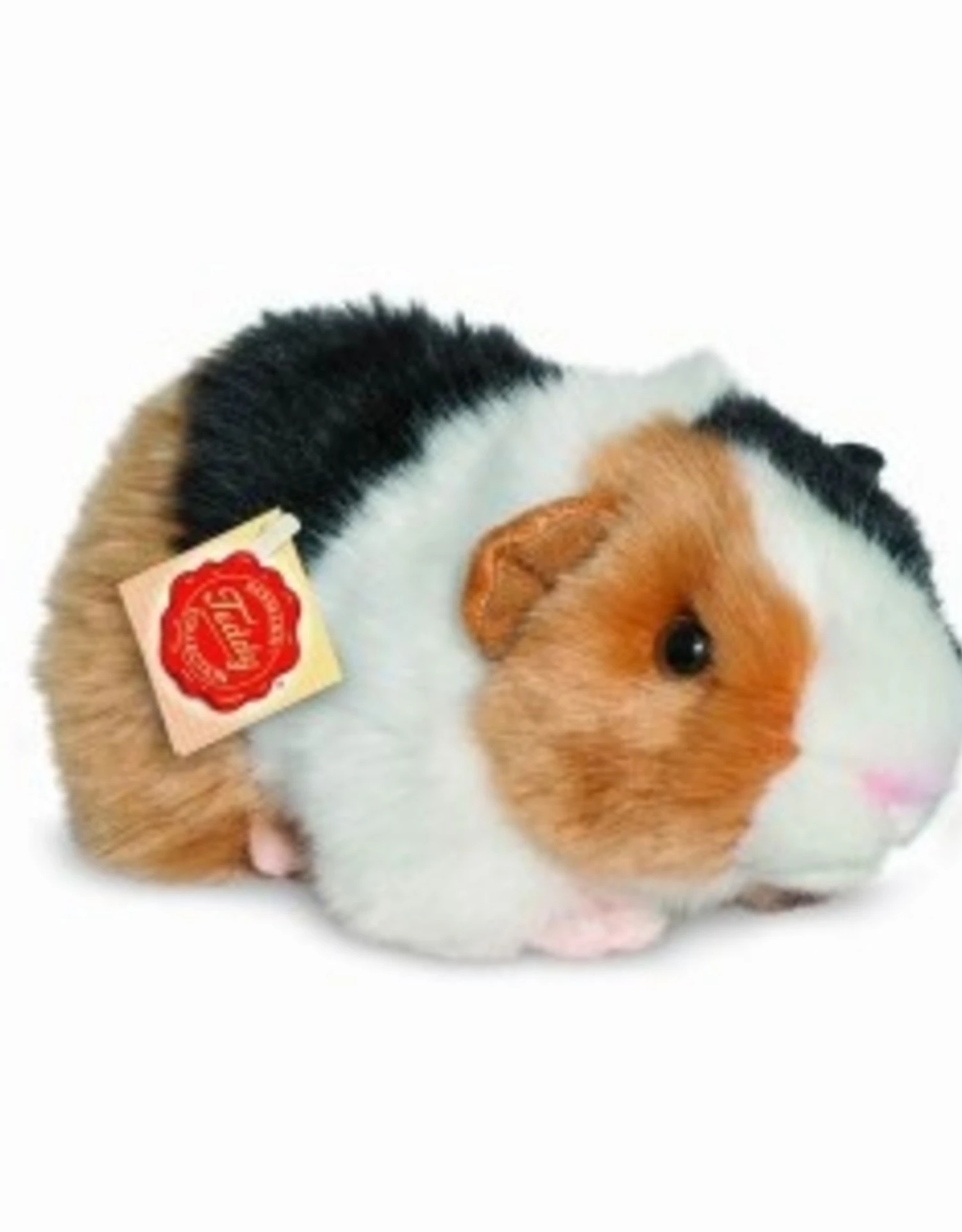 Hermann Teddy Cavia Tricolor