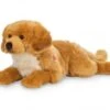 Hermann Teddy Golden Retriever Liggend