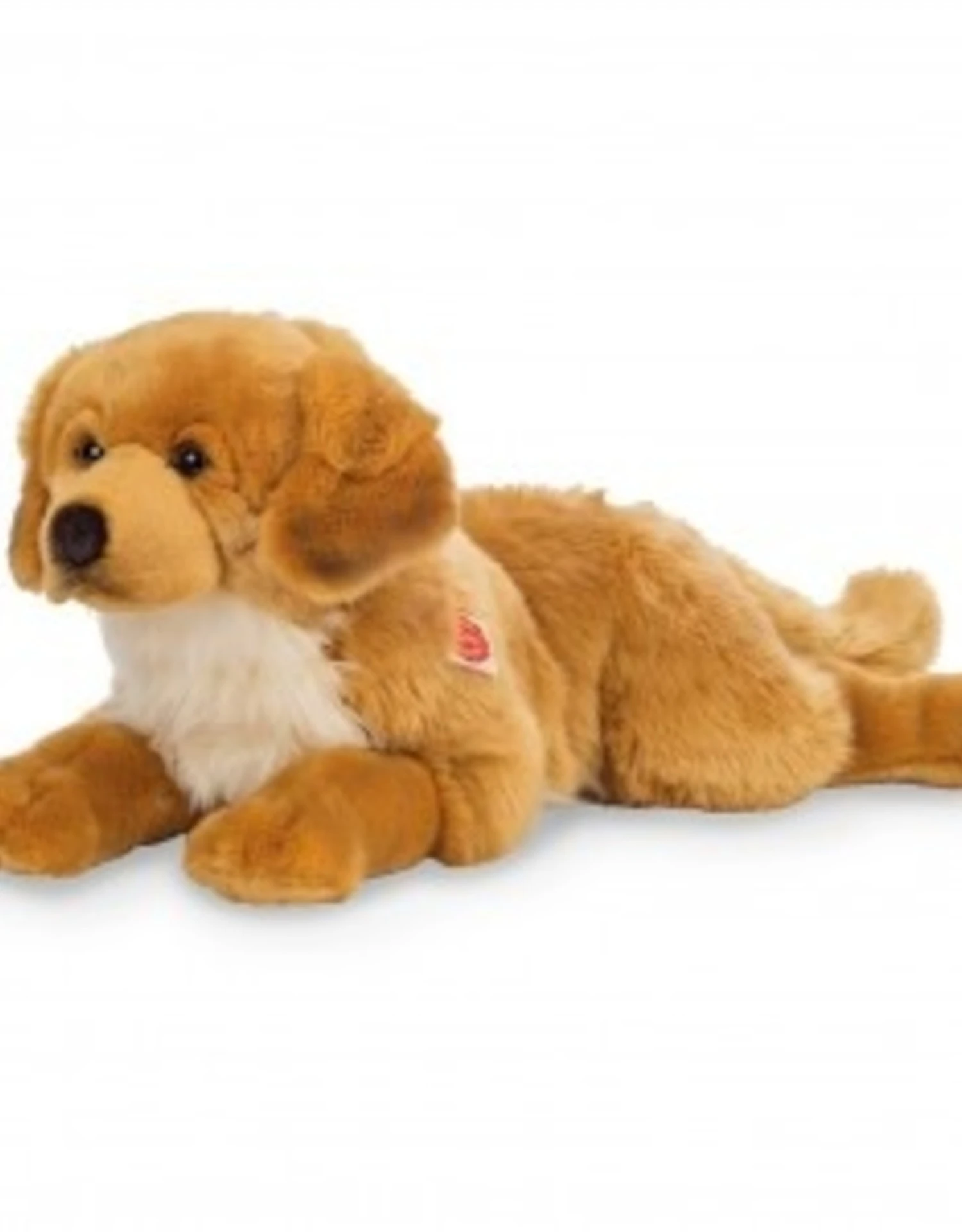 Hermann Teddy Golden Retriever Liggend