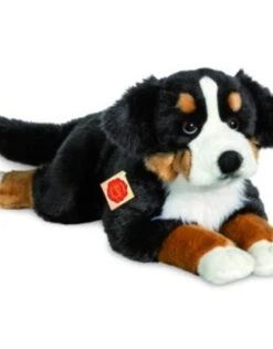 Hermann Teddy Hond BernerSennen