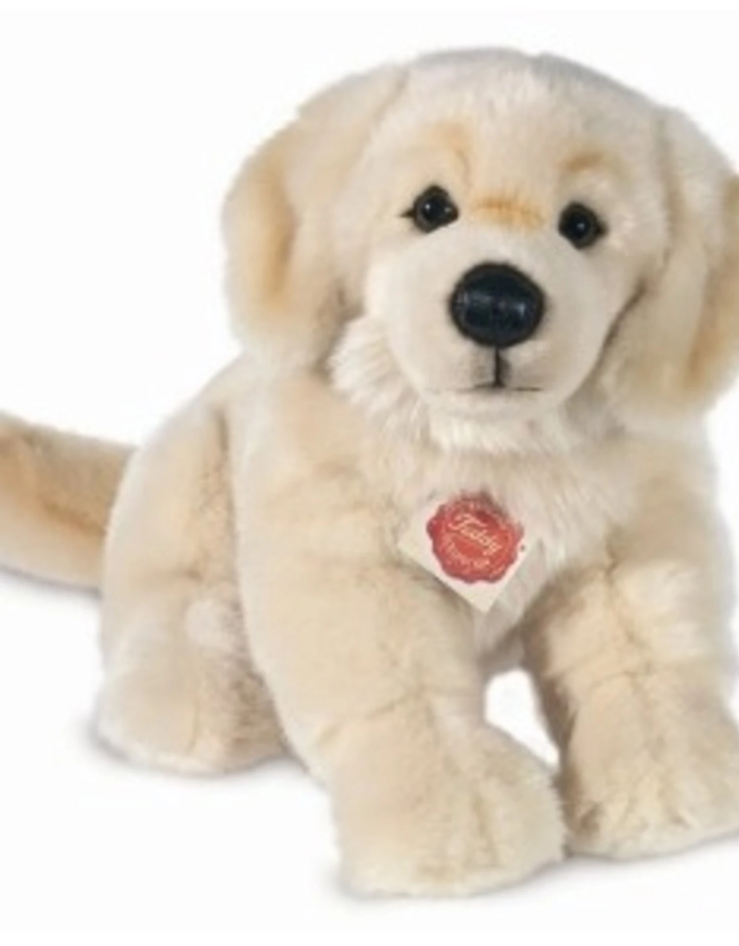 Hermann Teddy Hond Golden Retriever Zittend