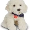 Hermann Teddy Hond Labradoodle Zittend
