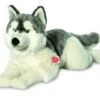 Hermann Teddy Husky