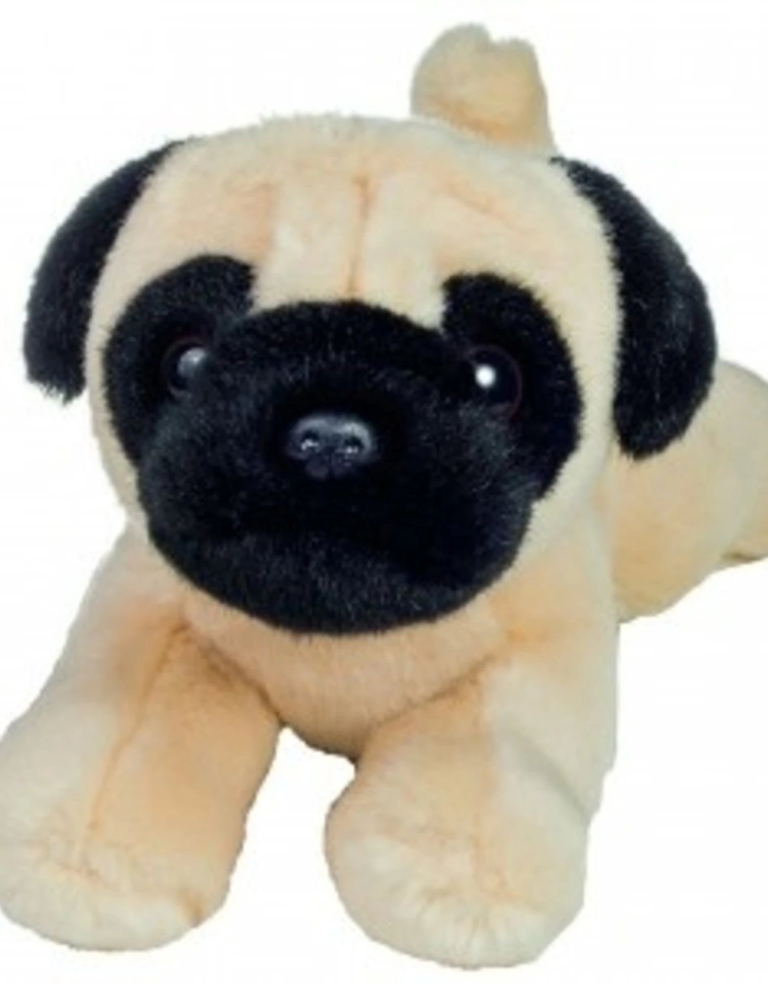 Hermann Teddy Mopshond