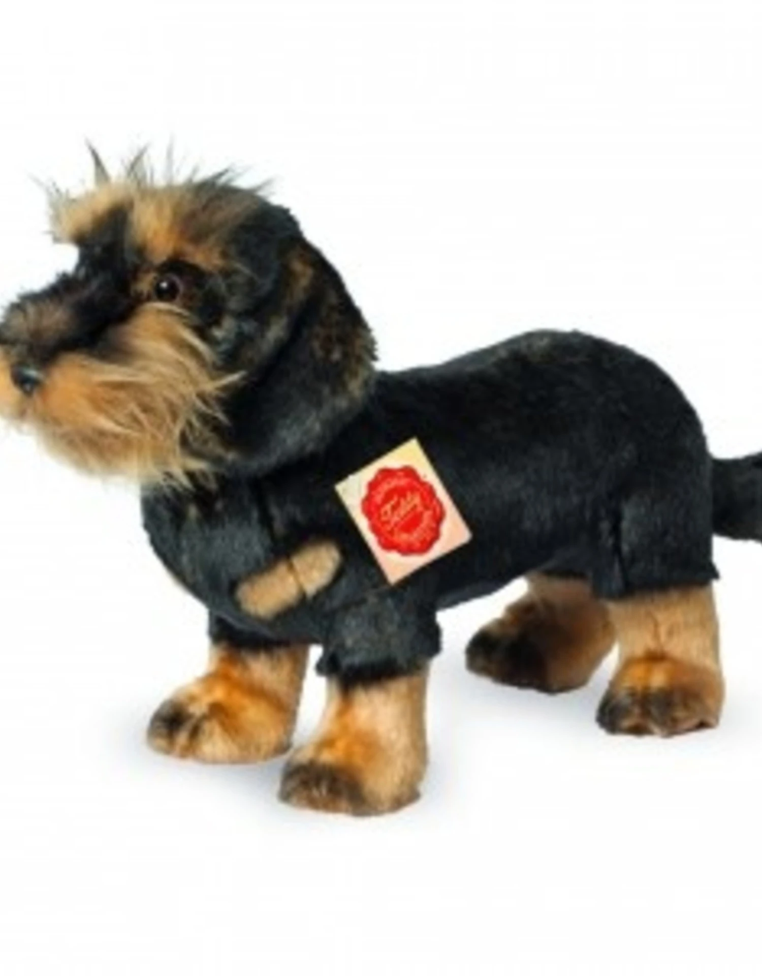 Hermann Teddy Ruwharige Teckel