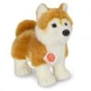 Hermann Teddy Knuffel Hond Shiba Inu Staand