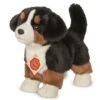 Hermann Teddy Knuffel Berner Sennenhond Puppy