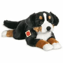 Teddy HERMANN Berner Berghond Liggend Op 60 Cm Hoogte
