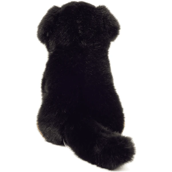 Teddy HERMANN ® Berner Sennenhond Zittend, 21 Cm - Afbeelding 4