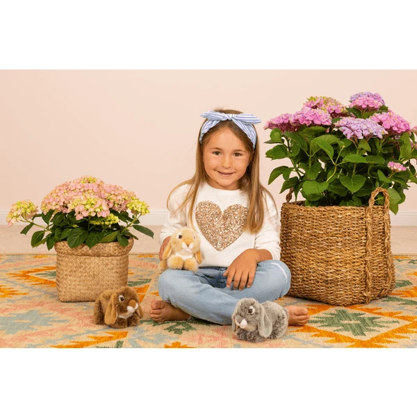 Teddy HERMANN ® Ram Konijn Grijs, 18 Cm - Afbeelding 2